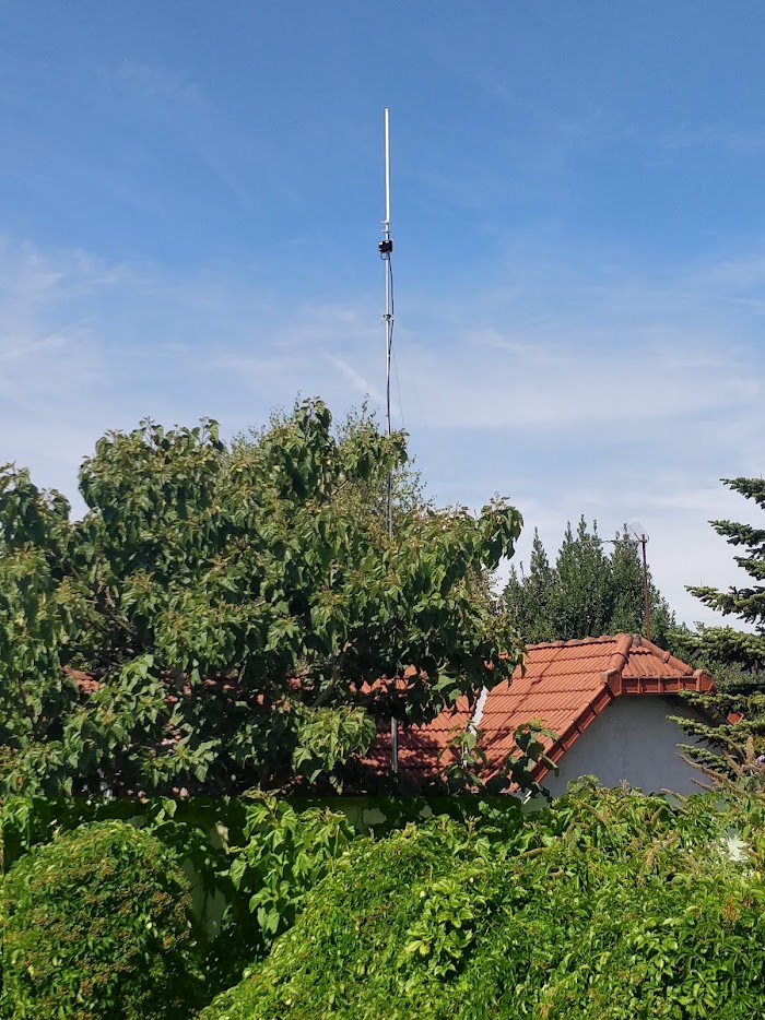 A LoRaWAN gateway antenna mounted on a guyed pole above the tree line