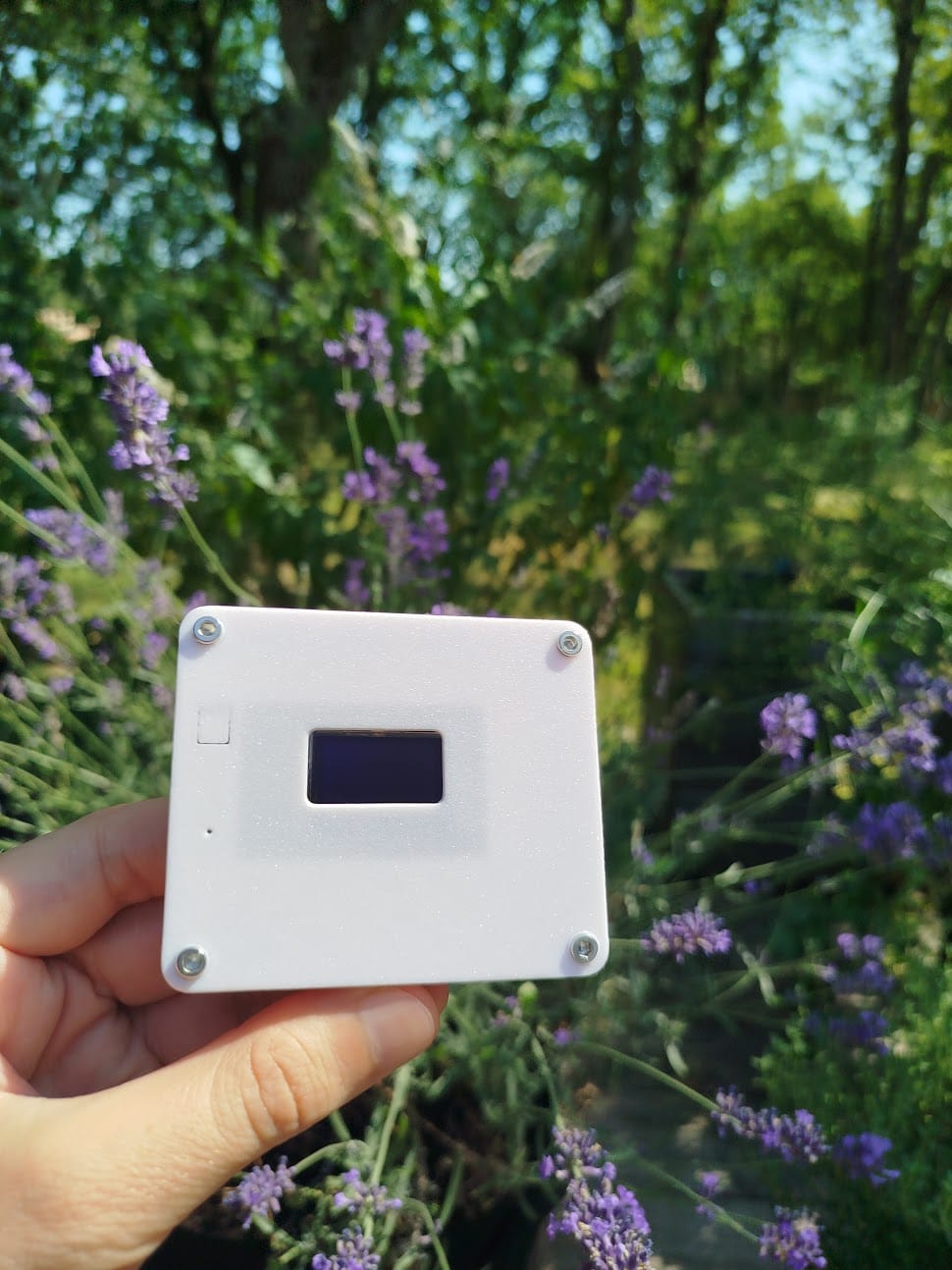 A sealed white sensor enclosure with a display window, held outdoors