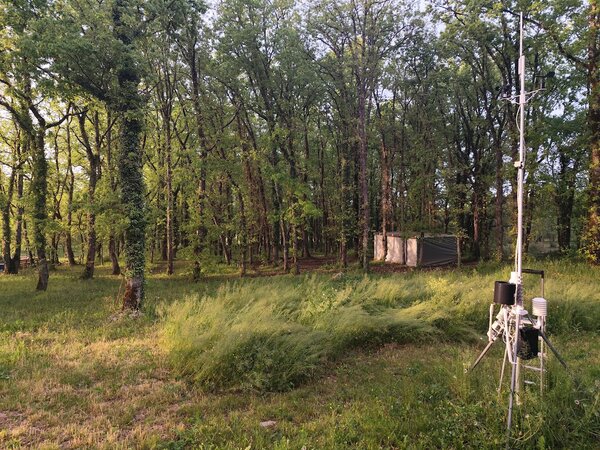 Wifx L1 Gateway - Lightweight for Maximum Height